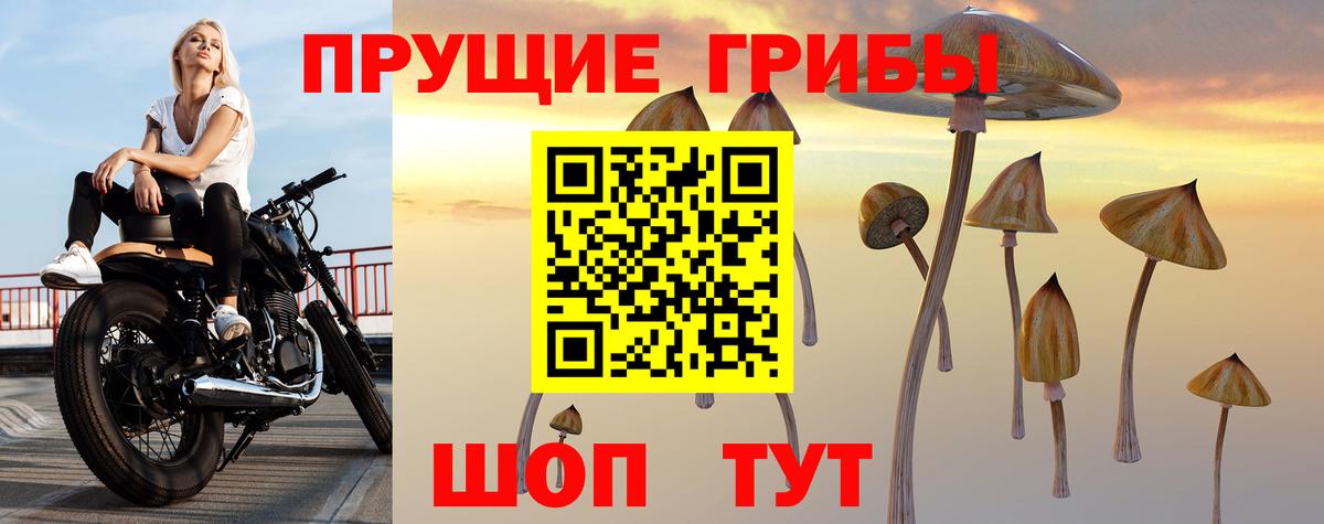 Дербент  Галлюциногенные грибы MAGIC MUSHROOMS  Вход с VPN 